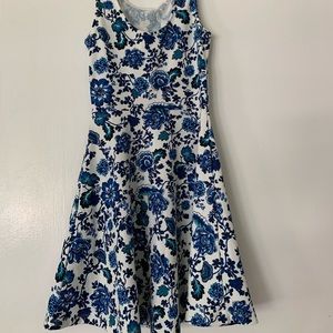 Blue and White floral dress